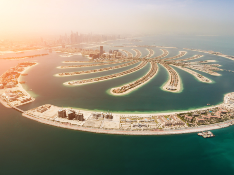 Untitled design (79)