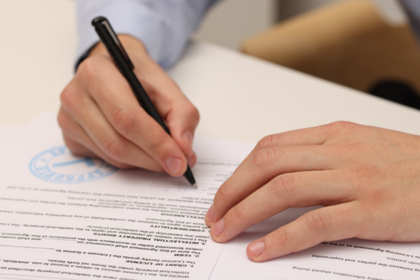 Untitled design (86)