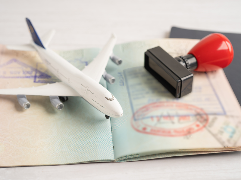 Untitled design (91)