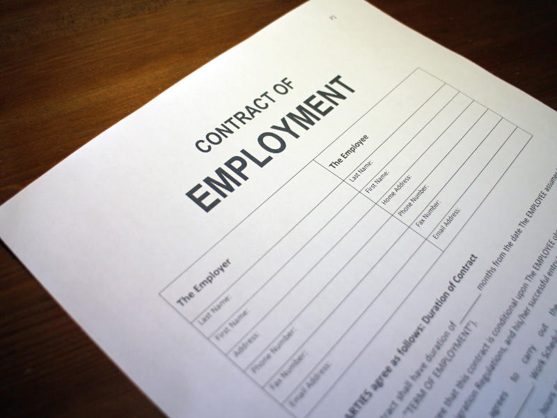 Untitled design (95)